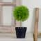9.75" Green Ball Shaped Artificial Potted Topiary